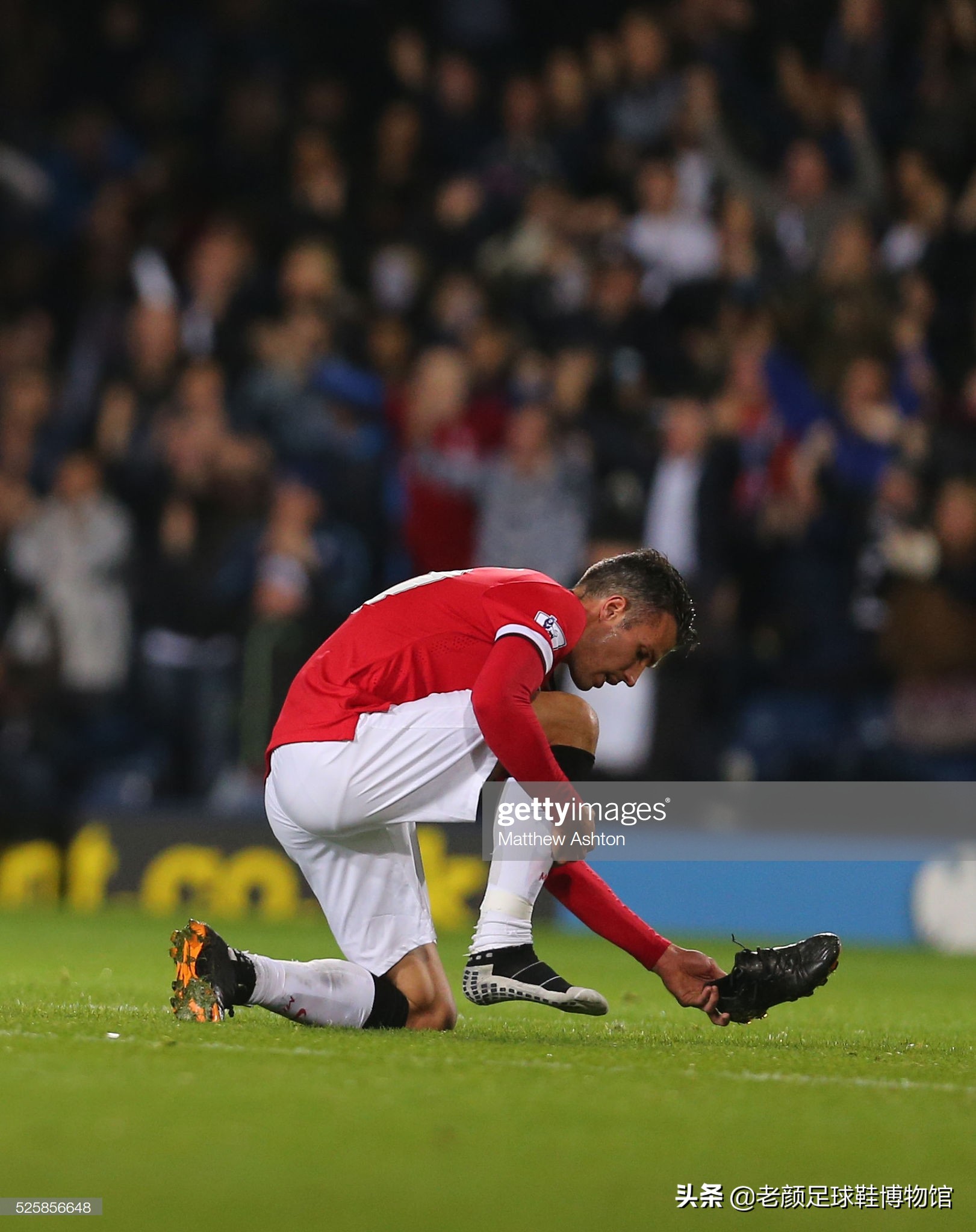 天高任鸟飞 天高任鸟飞